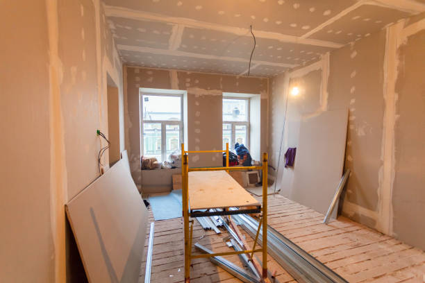 Best Commercial Mold Inspection  in Ricardo, TX